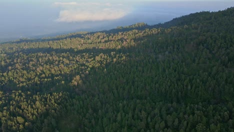 Bird's-eye-view-of-the-mountains-covered-with-jungle-in-central-Java,-Indonesia