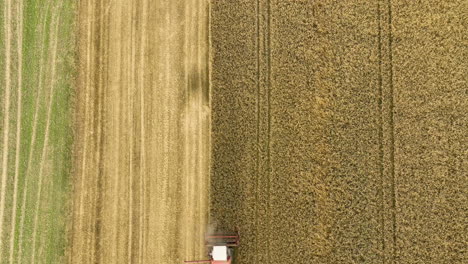 top-down view of a harvester cutting through golden wheat fields