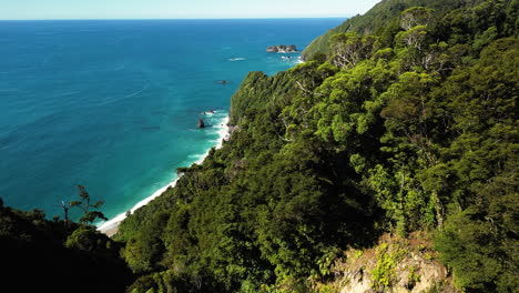 Fantasy-forest-on-cliff-at-west-coast-of-South-Island,-New-Zealand,-aerial