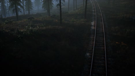 área nacional de recreación forestal y la niebla con ferrocarril