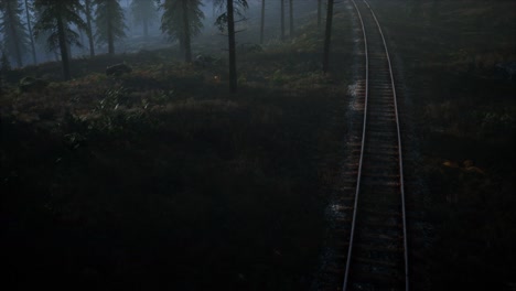 national forest recreation area and the fog with railway