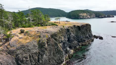 aerial view of the rosario beach cliffs in washington state