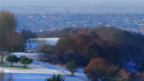 establishing aerial drone shot of golf course trees on frosty morning in winter with houses in background uk