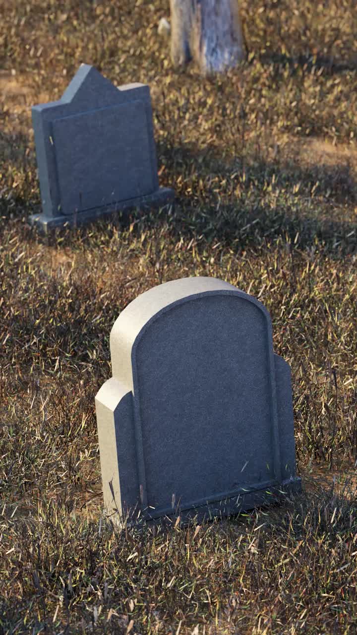 Crosses and tombstones on grassy meadow in cemetery. 3d animation