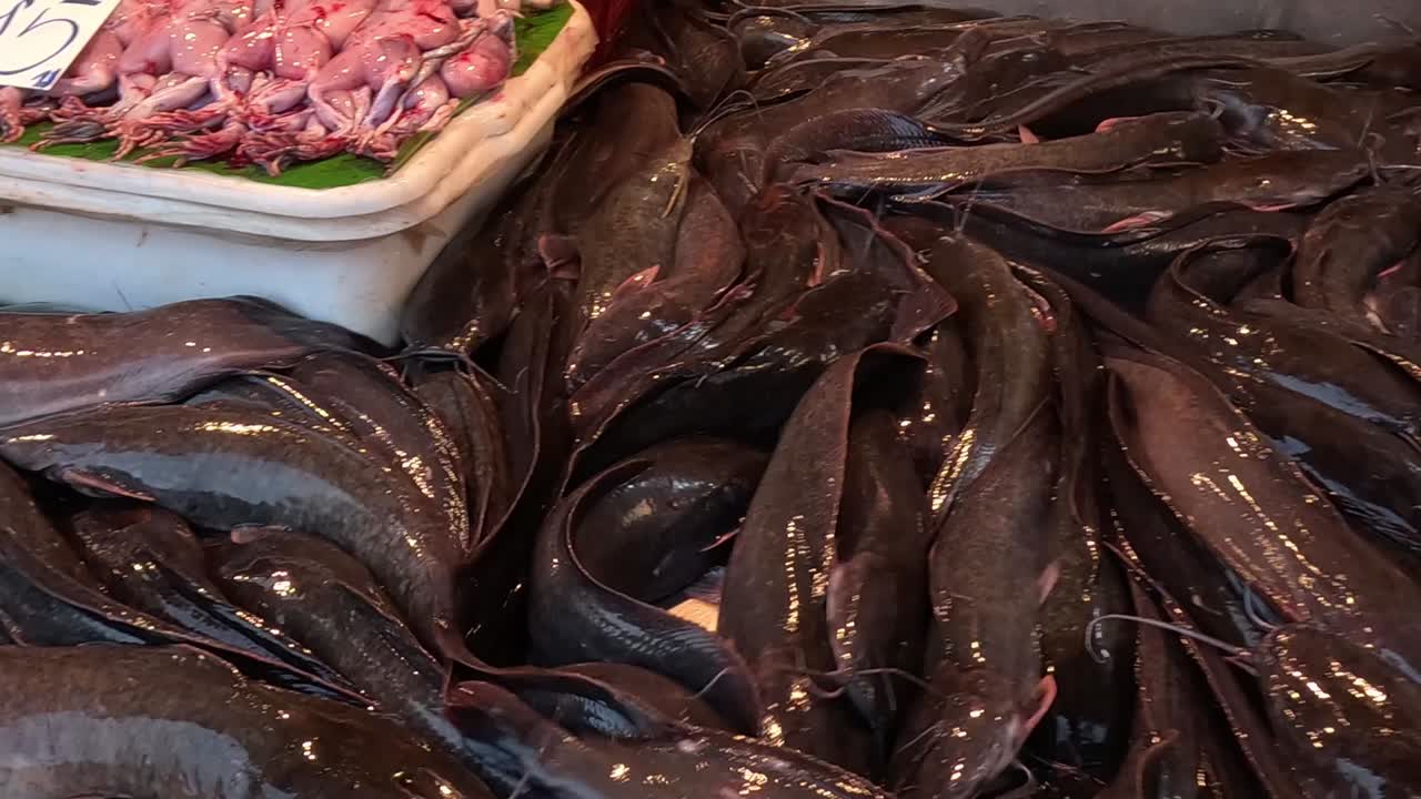 A detailed view of catfish arranged in a market stall, showcasing their shiny texture.