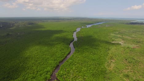 Antenne:-Mangrovenwald-Von-Sansibar