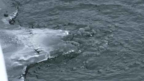 close up of air bubbles reaching the surface under ice