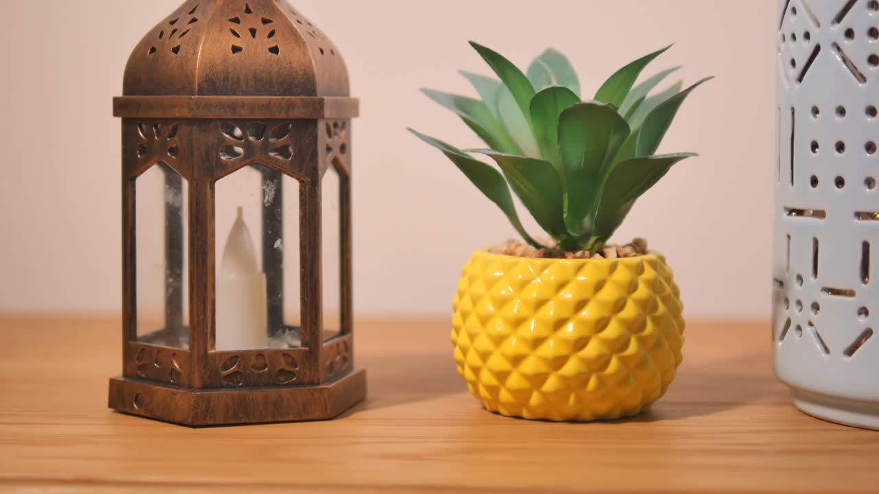 Decorative Lanterns and Succulent Plant