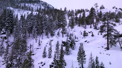 Luftaufnahme-Der-Trostlosen-Wildnislandschaft,-Lake-Tahoe,-Kalifornien