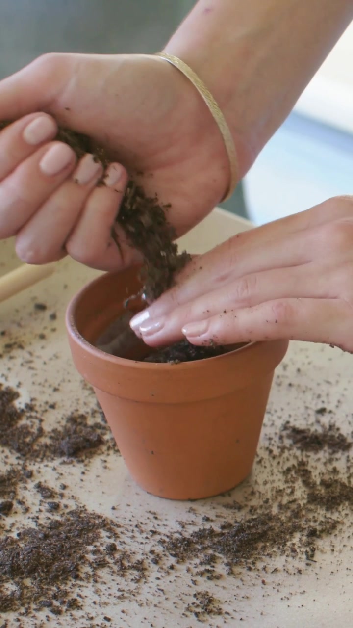 Video verticale: Mani che raccolgono e spostano terra da un mucchio, mettendola in un vaso su un tavolo per piantare con un bastoncino.