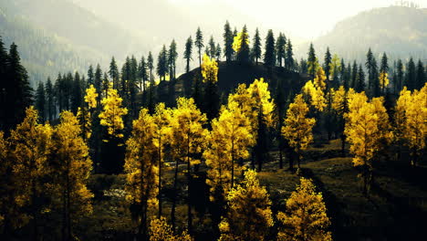vibrant autumn landscape with golden trees in serene mountain setting