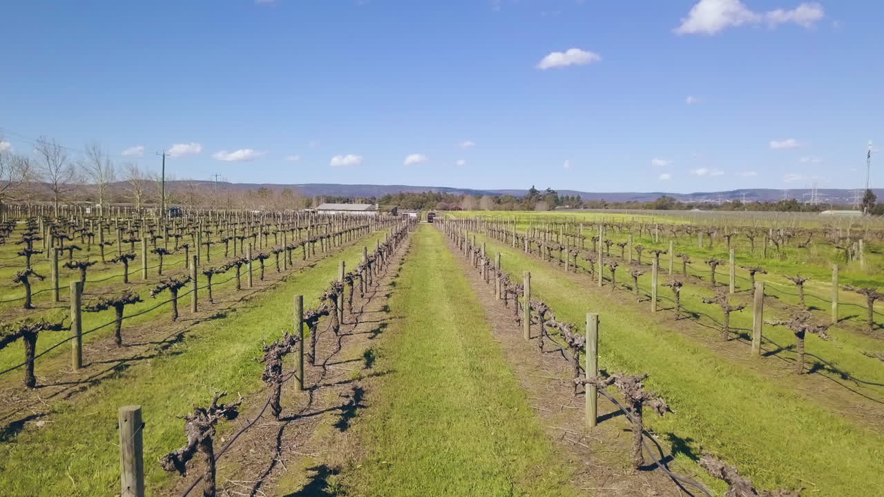 Elevating aerial drone shot of Swan Valley wine region vineyard