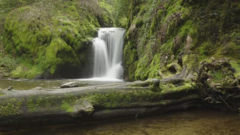 Cascade-De-Geroldsau,-Verdadera-Maravilla-Natural-En-El-Corazón-De-La-Encantadora-Selva-Negra