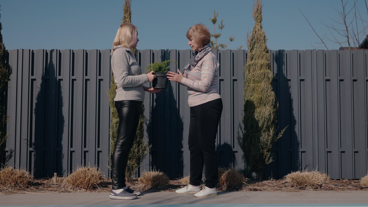 두 여자 가 식물 을 나누고 있다