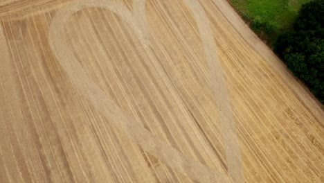 Aerial-View-Of-Heart-Pattern-In-A-Grain-Field---Drone-Shot