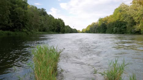 steady footage of natural river estuary near ulm germany