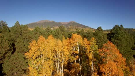 desde lo alto del otoño, los álamos temblones de follaje regalan a la cordillera en la distancia, asta de bandera, arizona