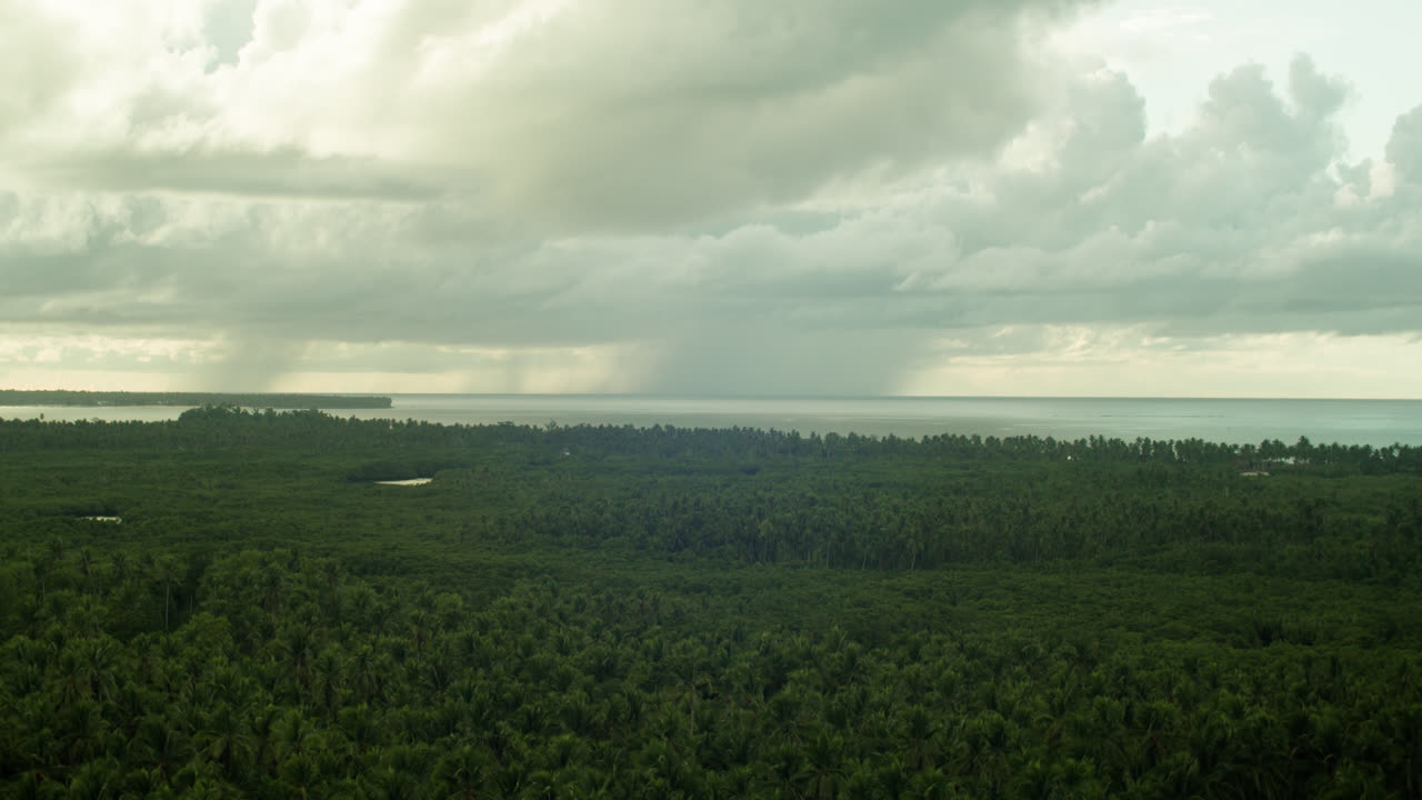 Time-lapse of cloudy day view of coconut plantation and the sea from afar in Siargao, Philippines.