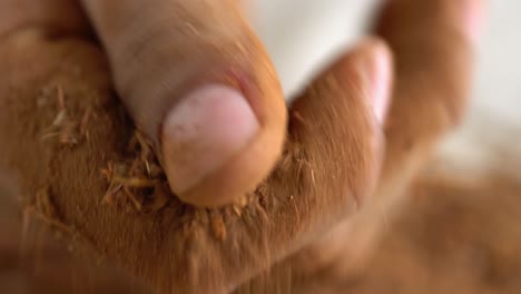 macro shot of hands turning madder plant root into powder for organic textile red dye