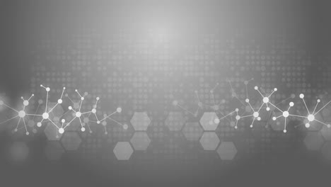 abstract background of molecular structures. molecules or dna strand, genetic engineering. connected lines with dots. medical, technology, chemistry, science loop background.