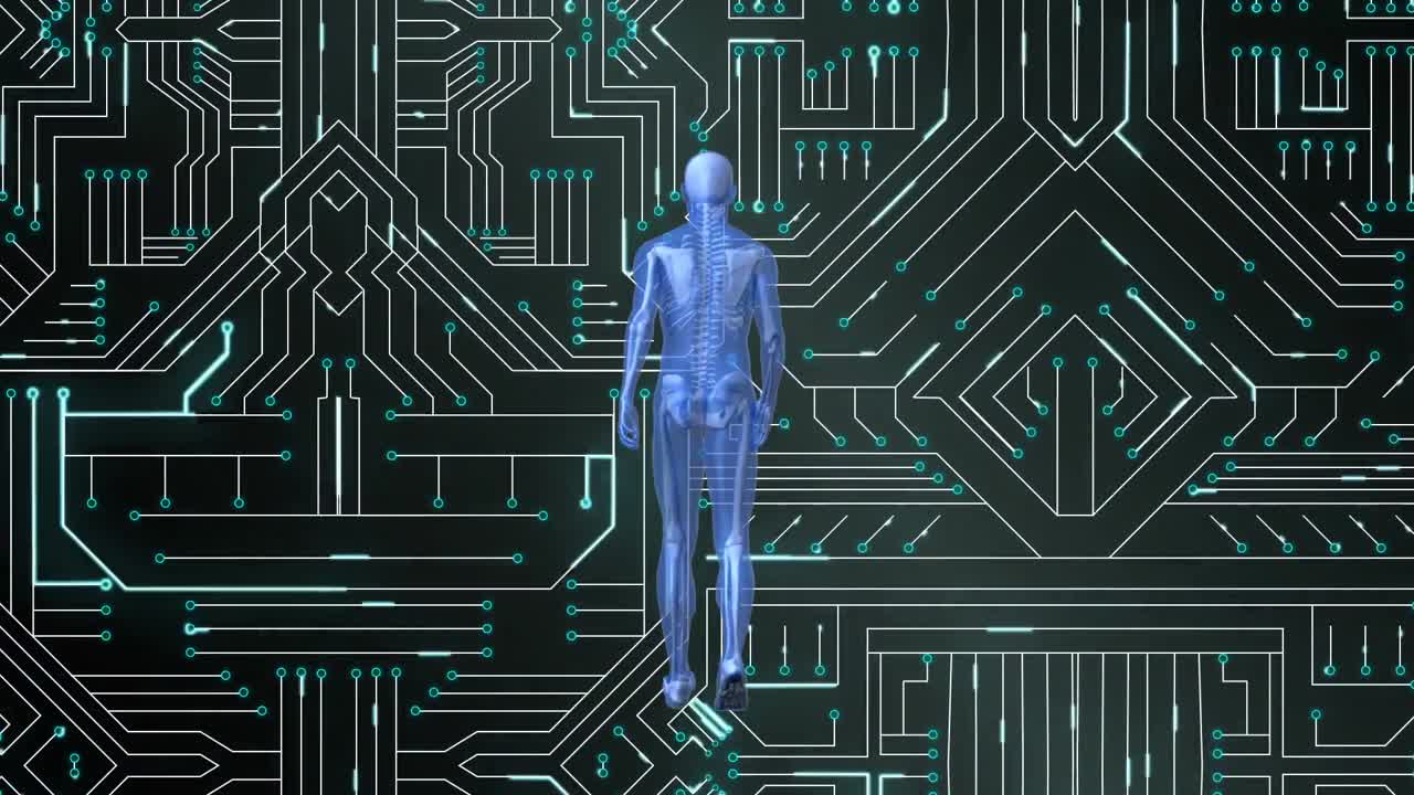 Animation of human model and data processing on circuit board