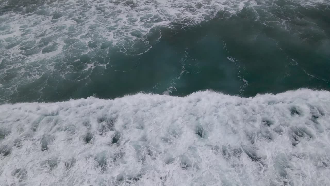 바다의 파도에서 멕시코의 빈 정글까지 영화 같은 팬