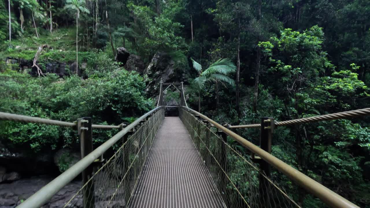 puente colgante en un entorno de bosque exuberante