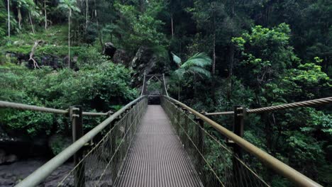 suspension bridge in lush forest setting