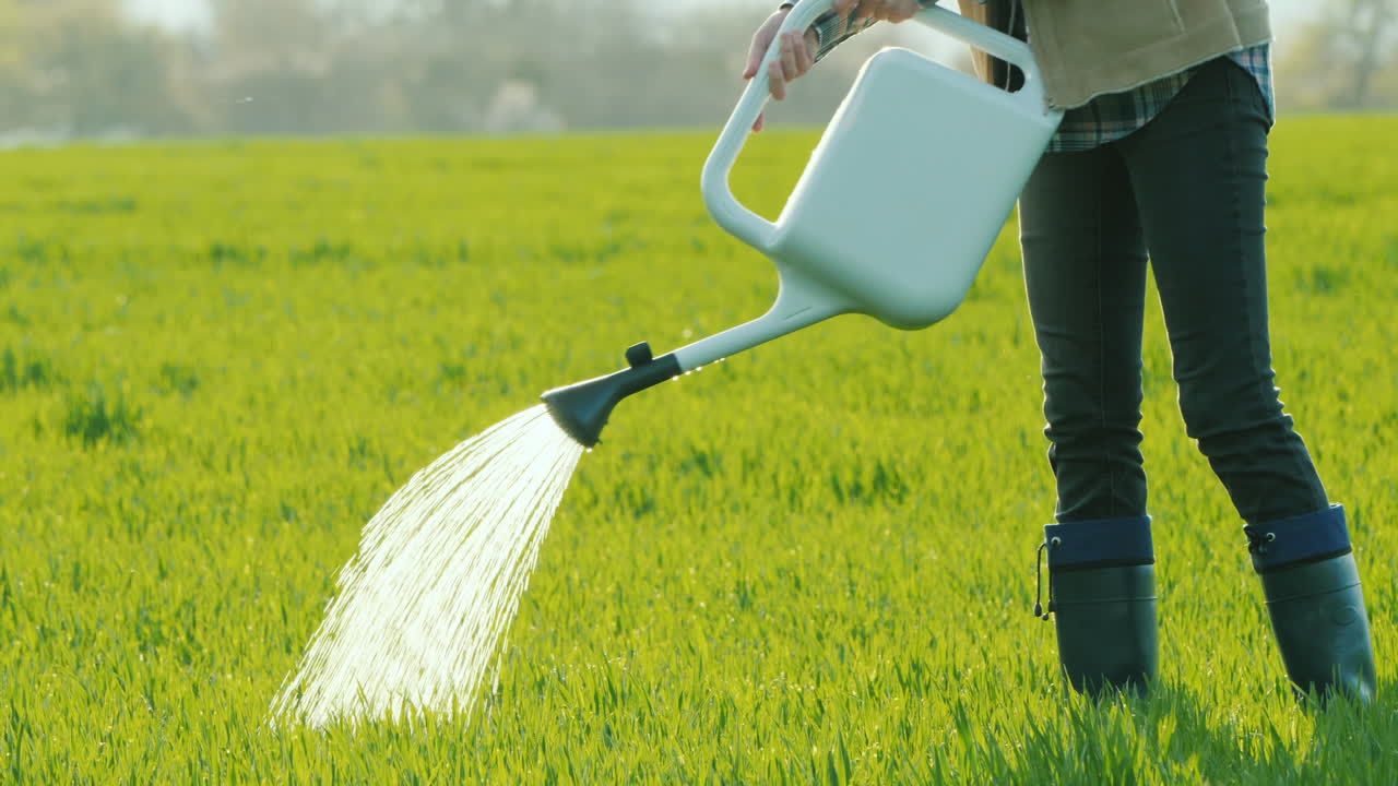 Uomo innaffia l'erba verde con un irrigatore