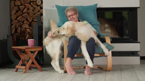 elderly woman and golden retriever dog relaxing together in a chair by the fireplace