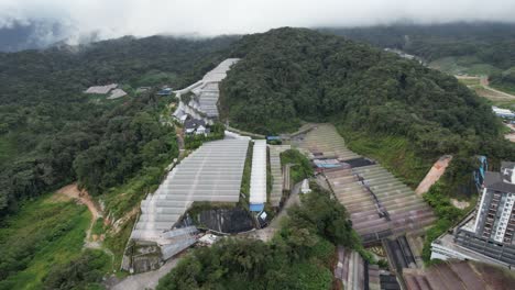 general landscape view of the brinchang district within the cameron highlands area of malaysia