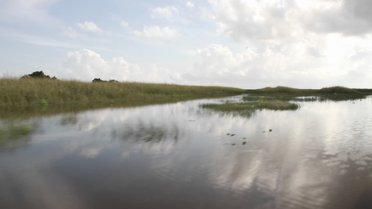 POV from an airboa driving through the Florida Everglades  1