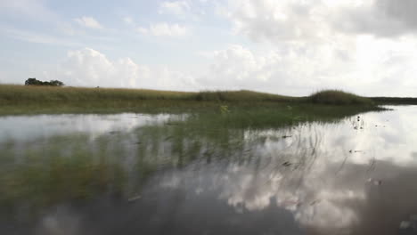 Pov-De-Un-Airboa-Conduciendo-Por-Los-Everglades-De-Florida-1