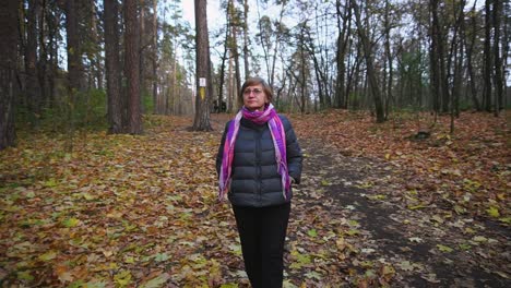 mujer caminando en el bosque de otoño