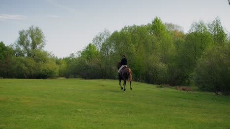 woman horseback riding through a green meadow