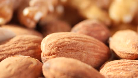 close-up of almonds and walnuts