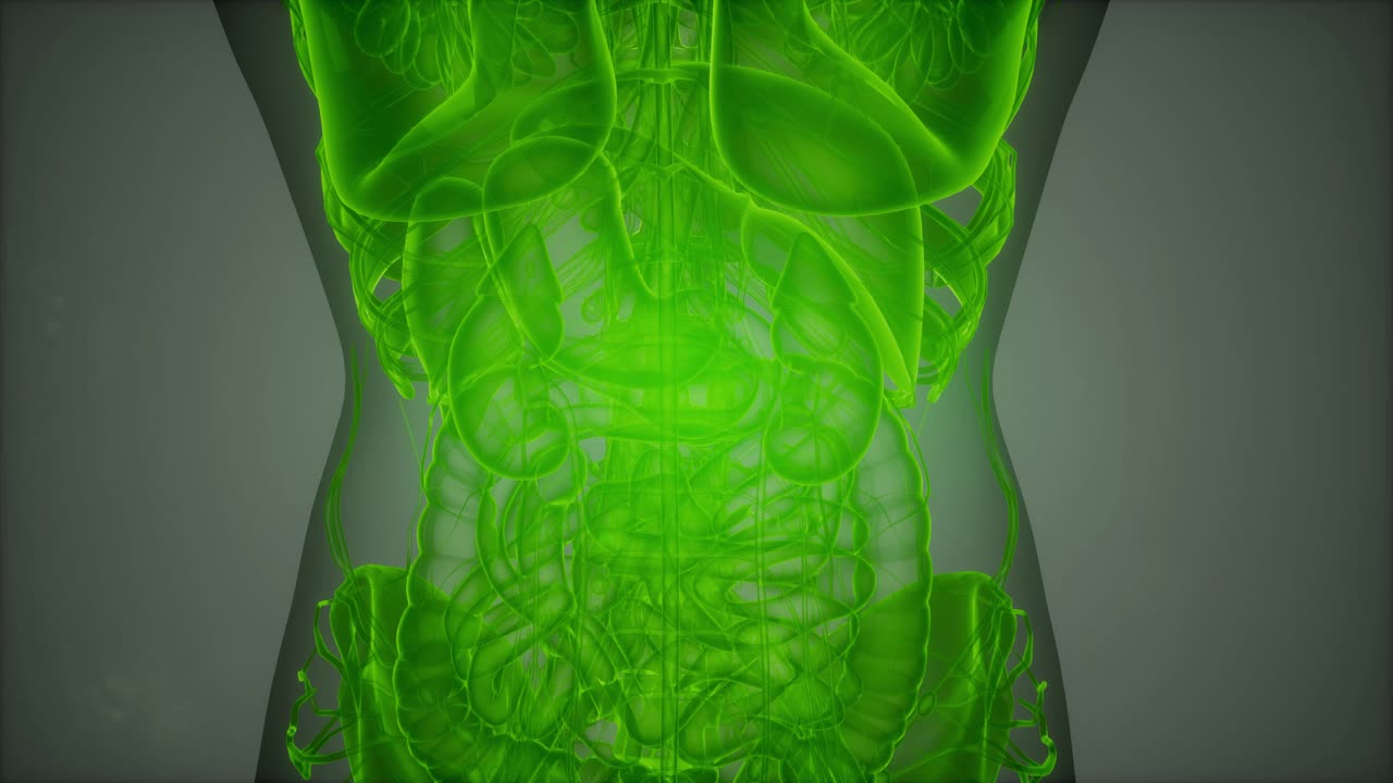 escaneo de imágenes de resonancia magnética en 3d