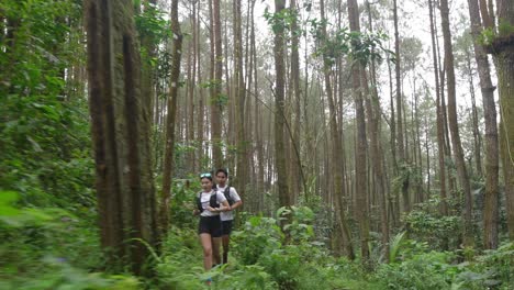 people running through a lush forest trail