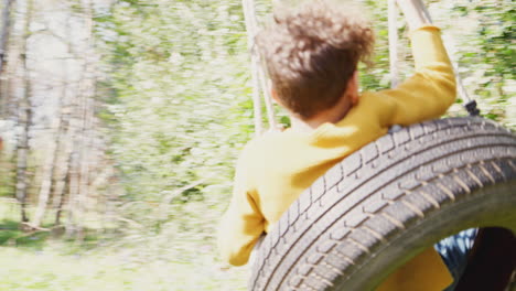 father and son having fun on tyre swing in garden at home