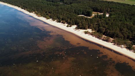 Sea-coast-near-Salacgriva.-Salacgriva-industrial-seashore