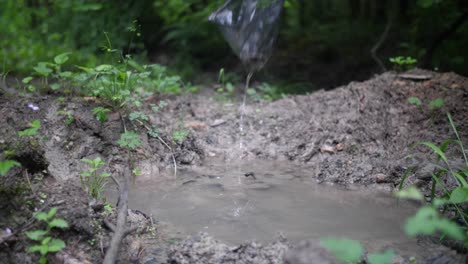 Eine-Gelbbauchunke-Mit-Einem-Kescher-In-Einem-Teich-Fangen.