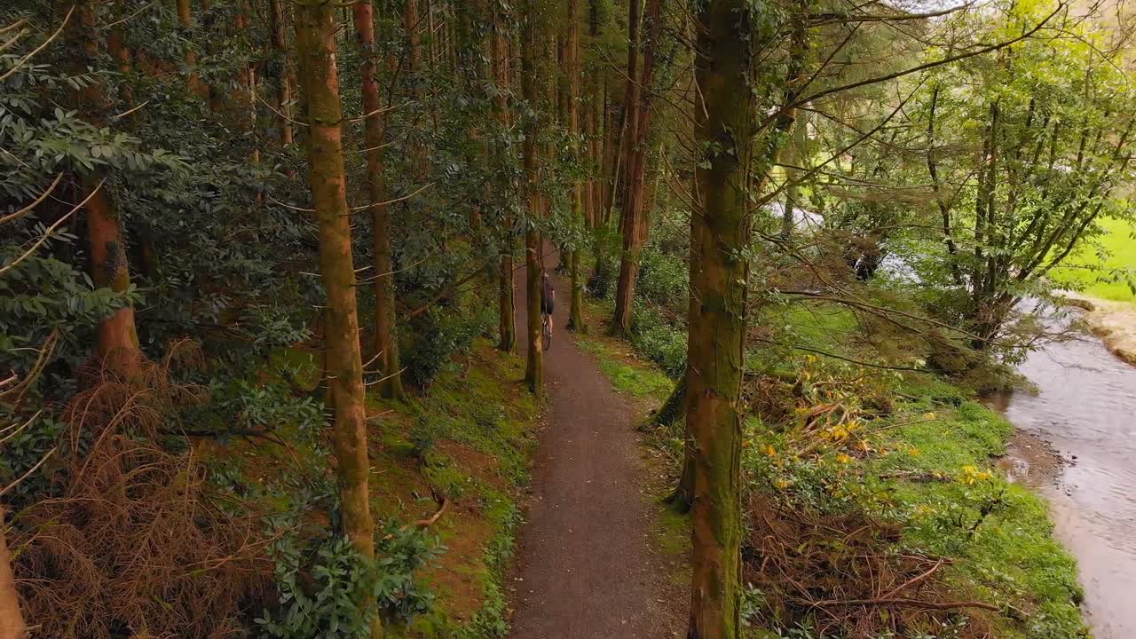 hombre en bicicleta en un sendero en el bosque 4k