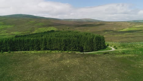 dense forested area of glencree ireland surrounded by a mountain road, cloudy and windy day