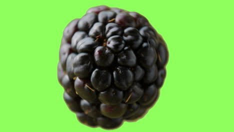 a blackberry rotating clockwise in the air before a green background