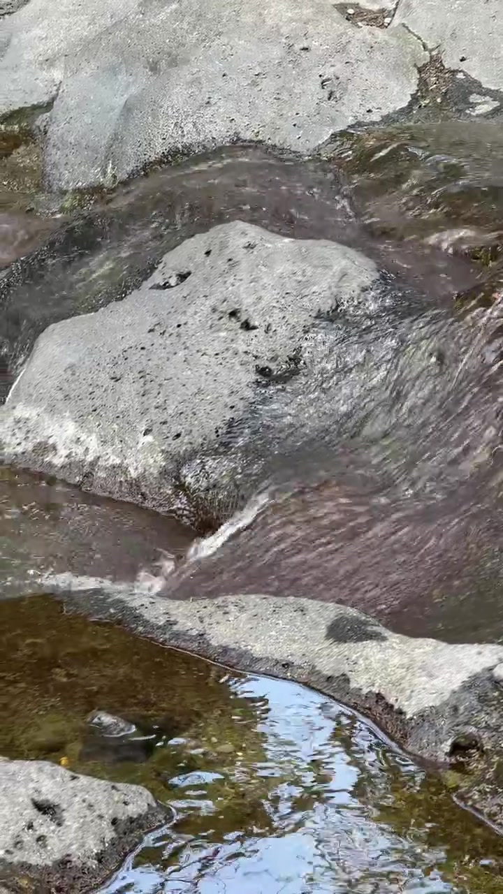 Acqua limpida che scorre sulle rocce lisce del fiume