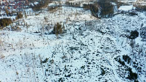 Snowy-terrain-with-barren-woodland-in-Poland,-cut-down-forest,-aerial
