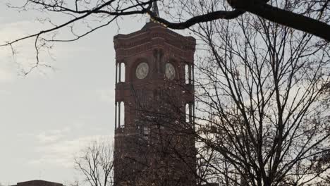 clock tower of berlin town hall seen behind bare tree branches, tilt down