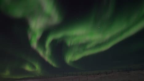imágenes de video en tiempo real de la aurora boreal en las islas lofoten, noruega