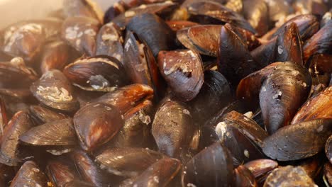 steamed mussels