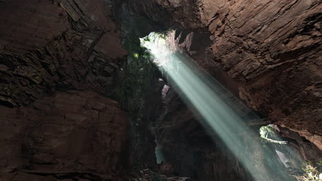 sunlight shining through a cave entrance in a tropical forest